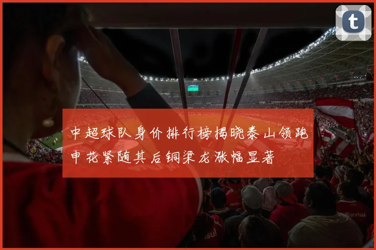 中超球队身价排行榜揭晓泰山领跑申花紧随其后铜梁龙涨幅显著