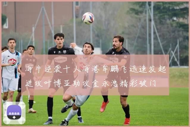 海牛逆袭十人海港牟鹏飞迅速发起进攻叶博亚助攻金永浩精彩破门
